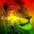 Eliot Davis's profile image