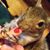 Sharron Crooks's profile image