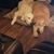 Janice Chubb Osowski's profile image