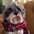 Lenore Geraci Mahler's profile image