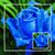 Nina Cosmos's profile image