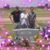 Wendy Dominy's profile image