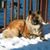 Debra Moore's profile image