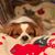Tami Thomas's profile image