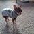 Lisa Wilson's profile image