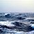 Michele Snedden's profile image