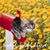 Deb Denny's profile image