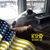Edwin Rodriguez's profile image