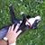 Phillip L. Whitt's profile image