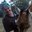 Kelly Nous's profile image