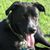 Cathy Fahey's profile image