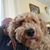 Lew Acquarulo's profile image