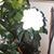 Joanna Umagat's profile image