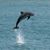 Kathy Denard-Snider's profile image