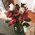 Denise Mather Uustal's profile image
