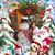 Yumaira-Donald Shead's profile image
