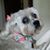 Mary Wright Warner's profile image