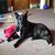 Laurel Wefferling Pezeur's profile image