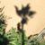 Paul E. Chaney's profile image