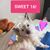 Amy Scime's profile image