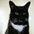 Tina Hausman-Brown's profile image