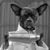 Sara Jane Nadlicki's profile image