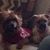 Rose Ann Booth Bybee's profile image