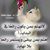 وليد احمد's profile image