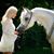 Chantelle Noble's profile image