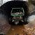 Travis Allen's profile image