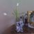 Mary Rotondo's profile image