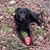 Melissa Jones Mitchell's profile image