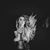 Chantal Maryott's profile image