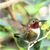 Barbara Kiser's profile image