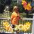 Faten Smeer's profile image