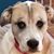 Lori Ott's profile image