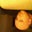 Vernon VanCleve's profile image