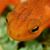 Jim Barg's profile image