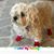Pam Riggle's profile image