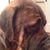 Sudz Kar's profile image