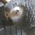 Donna Harrison's profile image