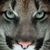 Luis Gomez's profile image
