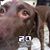 Jupi Marie's profile image