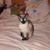 Deborah Melton's profile image