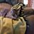 Lisa Witzke Frost's profile image