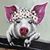 Jeri Odenthal's profile image