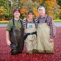 Maura Wayman's profile image