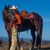 Karen Eisenhauer Rutkowski's profile image