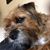Sarah Fredericks Kiefer's profile image