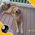 Linda Taylor's profile image